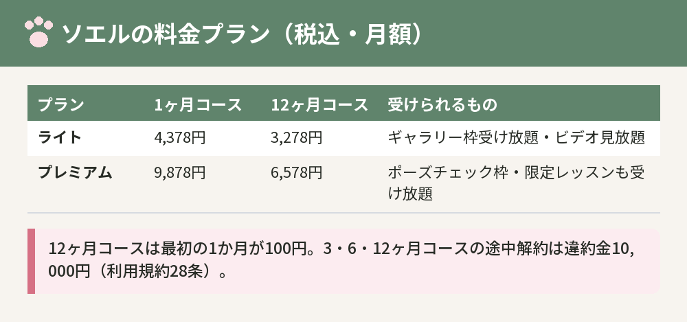 ソエルのライトとプレミアムの料金プラン