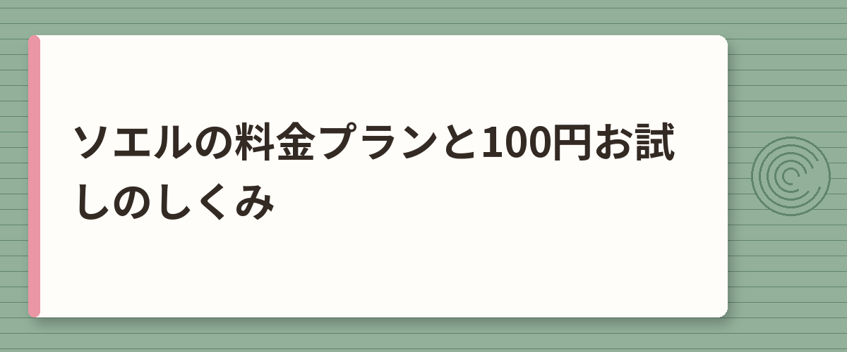 ソエルの料金プランと100円お試しのしくみ